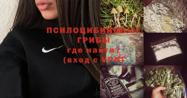 а пвп мука Ельня