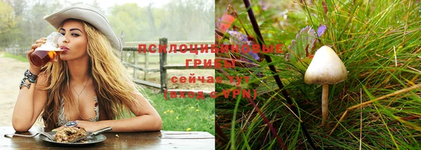 а пвп мука Ельня