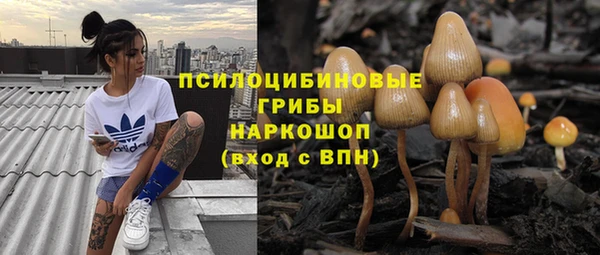 а пвп мука Ельня