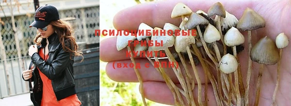 каннабис Елизово